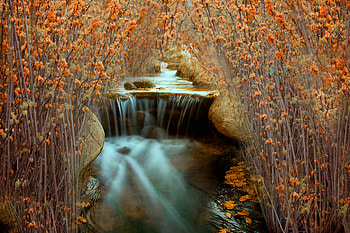 Nature, Autumn, Bush, River HD wallpaper