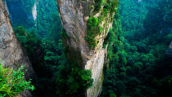 Zhangjiajie Travels, Zhangjiajie , Forest park, Petrfied Forest HD wallpaper