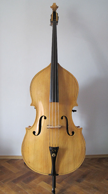 Double Bass and upright bass, Musical harmony, Enchanting strings, Melodic depths HD phone wallpaper