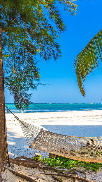 Zanzibar island paradise, Historic Stone Town, Tanzania coastline, African travel HD phone wallpaper