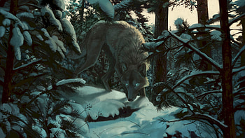 Trees, Art, Snow, Forest, Predator, Wolf HD wallpaper