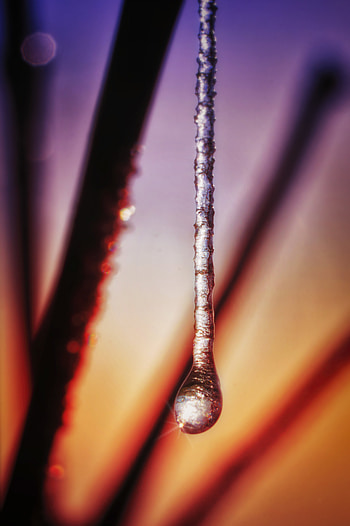 Ice, Macro, Frost, Drop, Frozen HD phone wallpaper