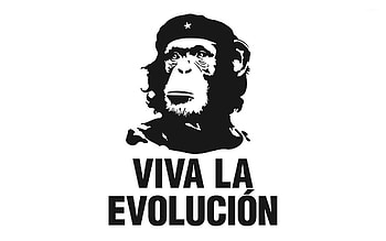 Viva la evolucion jpg HD wallpaper