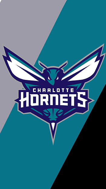 Charlotte Hornets, basketball, sports, nba HD phone wallpaper