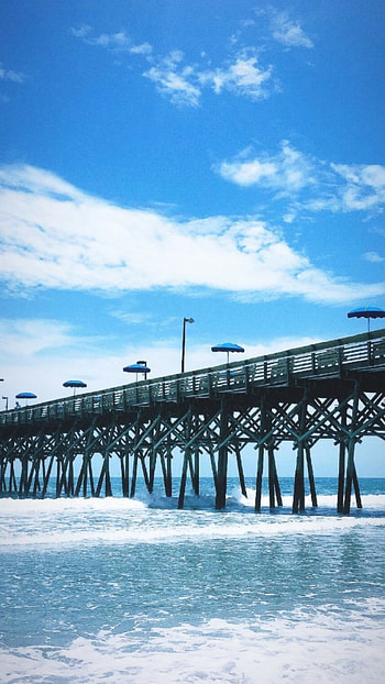 South Carolina, Myrtle Beach, Tropical paradise, Coastal getaway HD phone wallpaper