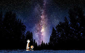 Calvin And Hobbes Looking At Stars | | ID:35253 HD wallpaper