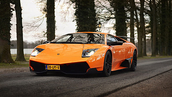 lamboghini murcielago, italian, lamborghini, murcielago, car HD wallpaper