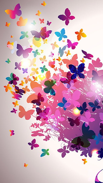 Butterflies, magenta, pink HD phone wallpaper