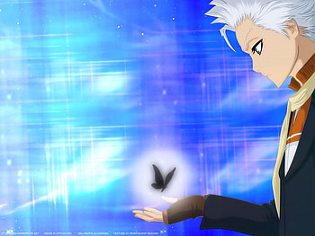 Toushirou Hitsugaya, bleach, toushirou, hitsugaya, ice HD wallpaper