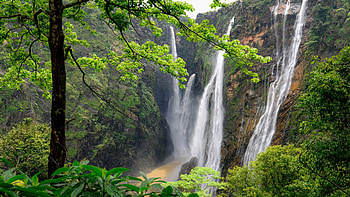 Gersoppa Falls, Karnataka, India, cascades, river, trees, forest, landscape HD wallpaper