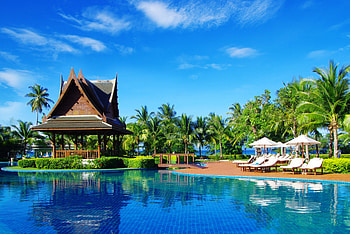 Beautiful, umbrellas, furniture, sunbeds, trees, garden, pool, shrubs, vacation HD wallpaper