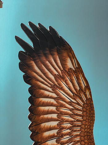 Sky, Feather, Miscellanea, Miscellaneous, Wing, Sculpture HD phone wallpaper