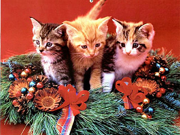 xmas-kittens, Christmas, ornaments, Kittens, trio, wreath HD wallpaper