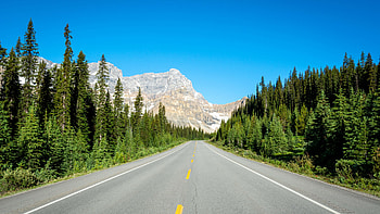 Road Towards Rock Mountains Between Trees Forest Under Blue Sky Nature HD wallpaper