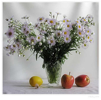 still life, art , vase, flowers, fruits, nice HD wallpaper
