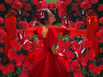 Ladies In Red 2, colorful, black, vibrant, girl, butterflies, hummer, vivid, green, red, humming bird, bright, bold, flowers HD wallpaper