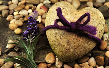 Flowers, Love, Rock, Shore, Bank, Stone, Rope HD wallpaper
