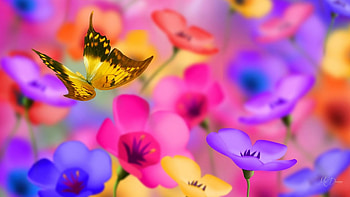 Bright Garden, colorful, garden, spring, Firefox Persona theme, summer, butterfly, blossoms, bright, flowers, blooms HD wallpaper