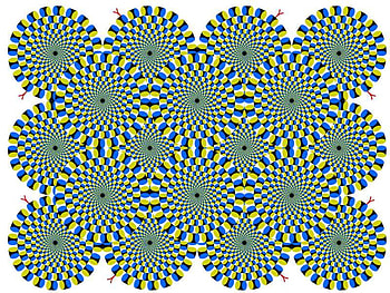 This pic is not moving, moving, snakes HD wallpaper