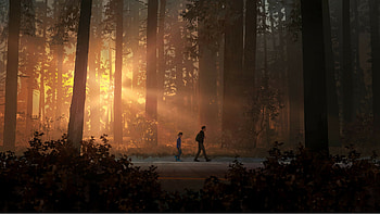 Life Is Strange 2, life-is-strange-2, life-is-strange, games, pc-games, ps-games, xbox-games HD wallpaper