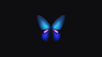 Samsung Galaxy Fold Stock, samsung-galaxy-fold, butterfly, samsung, stock, original, artist, digital-art, dark, black, oled HD wallpaper
