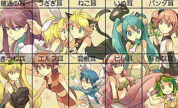 Vocaloid Ear Club, cat ears, bunny ears, hatsune miku, elf ears, kaito, panda ears, vocaloid, gumi, anime, len and rin kagamine, megurine luka, kamui gakupo, dog ears, fox ears, friends HD wallpaper