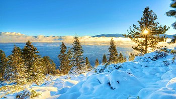 Lake Tahoe, California, sunshine, winter, snow, landscape, trees, sky, usa HD wallpaper