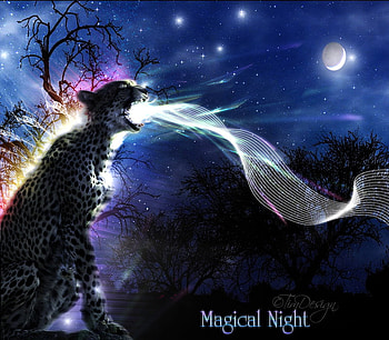 Magical Night, night, moon, clouds, sky, cheetah, stars, tree HD wallpaper