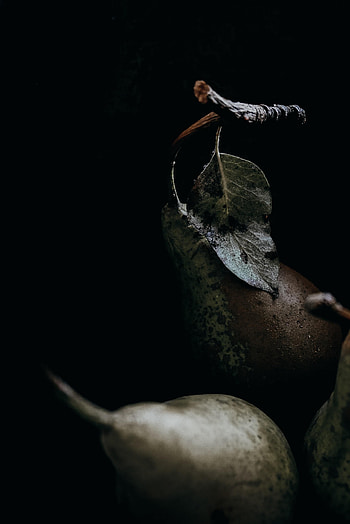 Food, Pears, Dark, Branch, Fruit HD phone wallpaper