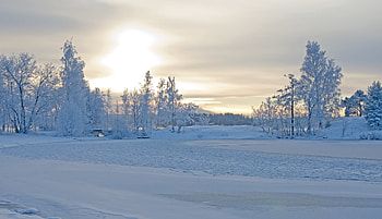 Winter, Nature, Trees, Snow, Frost, Handsomely, It's Beautiful, Winter Landscape HD wallpaper