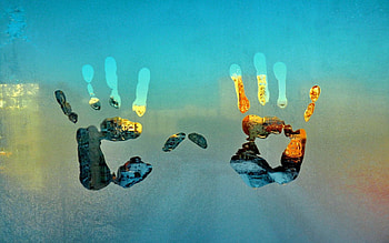 Palms, Miscellanea, Miscellaneous, Palm, Glass, Window, Frost, Hoarfrost, Imprint HD wallpaper