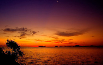 Nature, Sunset, Bush, Outlines, Water Surface, Thorns, Prickles HD wallpaper