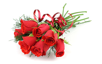Plants, Flowers, Roses, Bouquets HD wallpaper