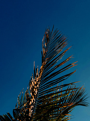 graphy, alam, langit HD phone wallpaper