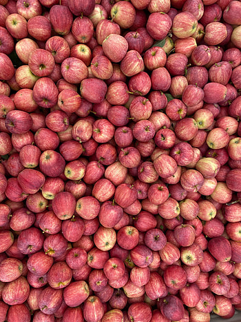 Food, Apples, Fruit, Harvest HD phone wallpaper