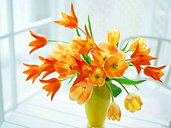 Flowers for friends, sunny vase, bright, flowers, spring, orange and gold HD wallpaper