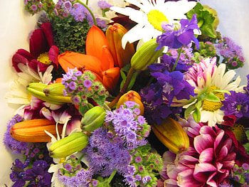 flower-41, purple, pink, colors, nature, flowers, orange HD wallpaper