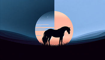 Majestic Mare Silhouette, mare, horse, silhouette, landscape HD wallpaper