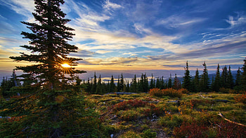 Sunset over Priest Lake and the Selkirks, idaho, usa, trees, colors, landscape, clouds, sky HD wallpaper