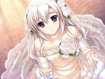 Shiratori Mizuha, white, beautiful, long hair, dress, petal, anime, wedding, pretty, flower, shine, bride, gown, sun HD wallpaper