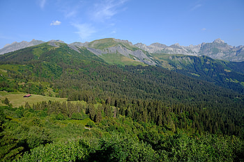 Landscape, Nature, Mountains, View From Above, Forest HD wallpaper