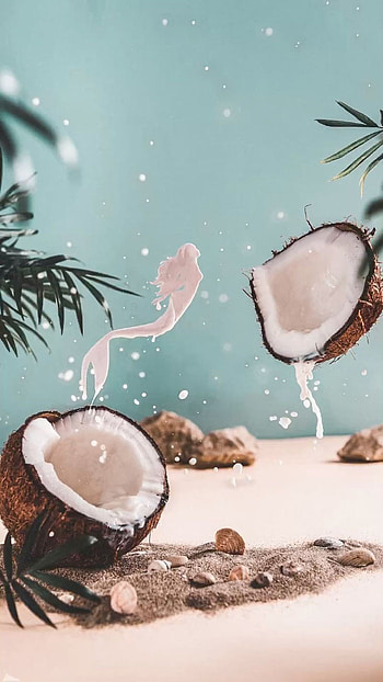 Coconut, , Tropical vibes, Coconut love HD phone wallpaper