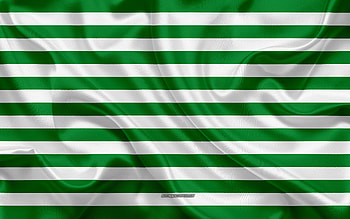 Flag of Meta Department, , silk texture, Meta Department, Meta, Colombian Department, Meta flag, Colombia HD wallpaper