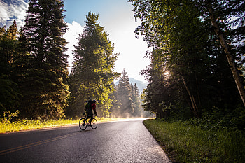 Sports, Trees, Road, Bicycle, Cyclist, Tourist HD wallpaper