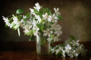 white flowers vase, art , still life, table, glass vase, white, flowers, water, nice HD wallpaper