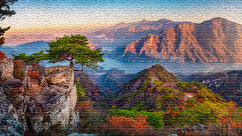 Susnet, forest, valley, nature, art HD wallpaper