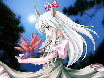Ex Keine, kamishirasawa keine, girl, long hair, dress, hakutaku, touhou, green hair, hat HD wallpaper
