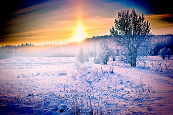 Winter, Nature, Snow, Forest, Path HD wallpaper