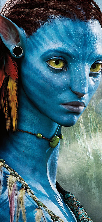  HD phone wallpaper