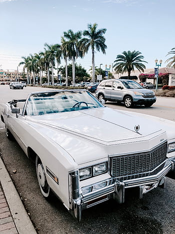 Classic white convertible parked under palm trees in a sunny street, capturing vintage automotive charm. HD phone wallpaper